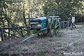 VBS_5646 - C'è un mare di velluto verde! E tu che sognavi di andare lontano... Quanta meraviglia, quì!